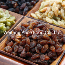 Best Quality Xinjiang Raisin Chinese Red Raisins Sultanas